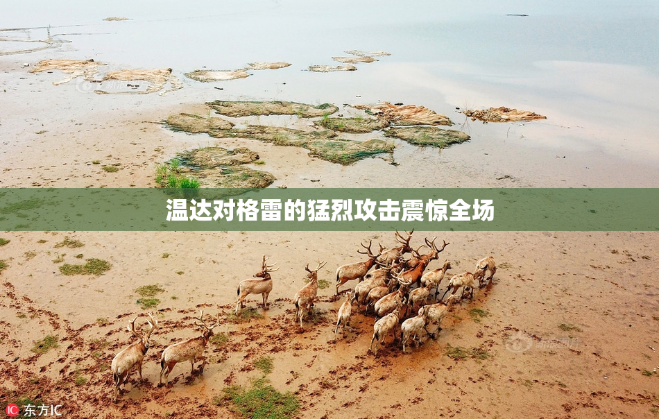 温达对格雷的猛烈攻击震惊全场