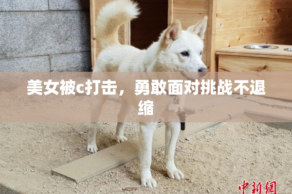 美女被c打击，勇敢面对挑战不退缩
