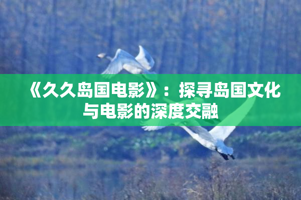 《久久岛国电影》：探寻岛国文化与电影的深度交融