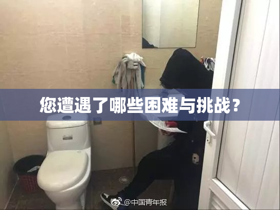 您遭遇了哪些困难与挑战？