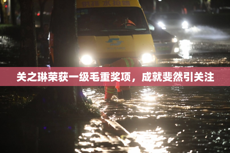 关之琳荣获一级毛重奖项，成就斐然引关注