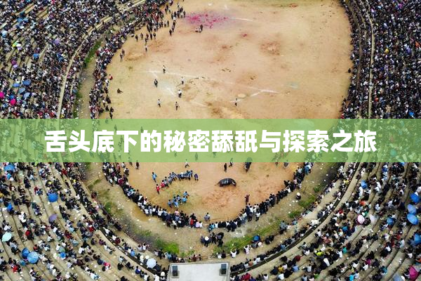 舌头底下的秘密舔舐与探索之旅
