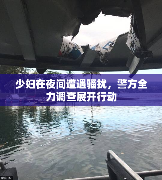 少妇在夜间遭遇骚扰，警方全力调查展开行动