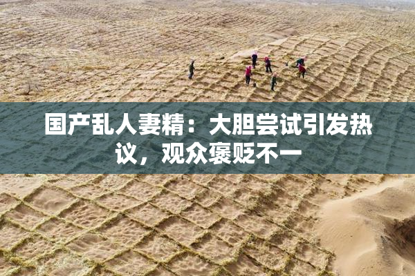 国产乱人妻精：大胆尝试引发热议，观众褒贬不一