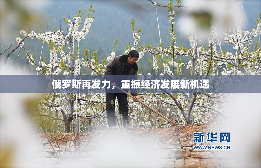 俄罗斯再发力，重振经济发展新机遇