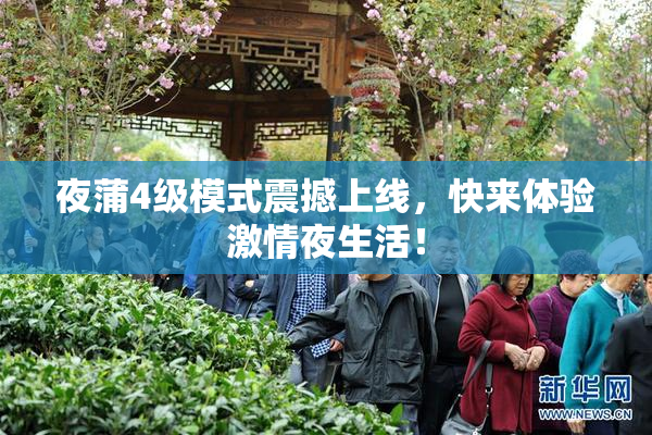 夜蒲4级模式震撼上线，快来体验激情夜生活！