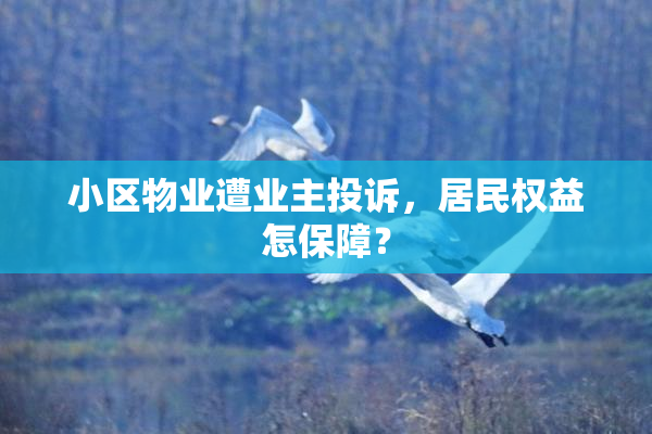 小区物业遭业主投诉，居民权益怎保障？
