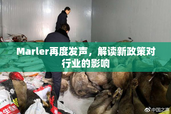 Marler再度发声，解读新政策对行业的影响