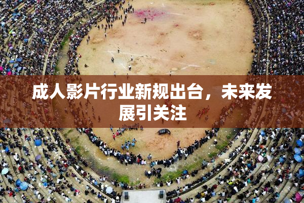 成人影片行业新规出台，未来发展引关注