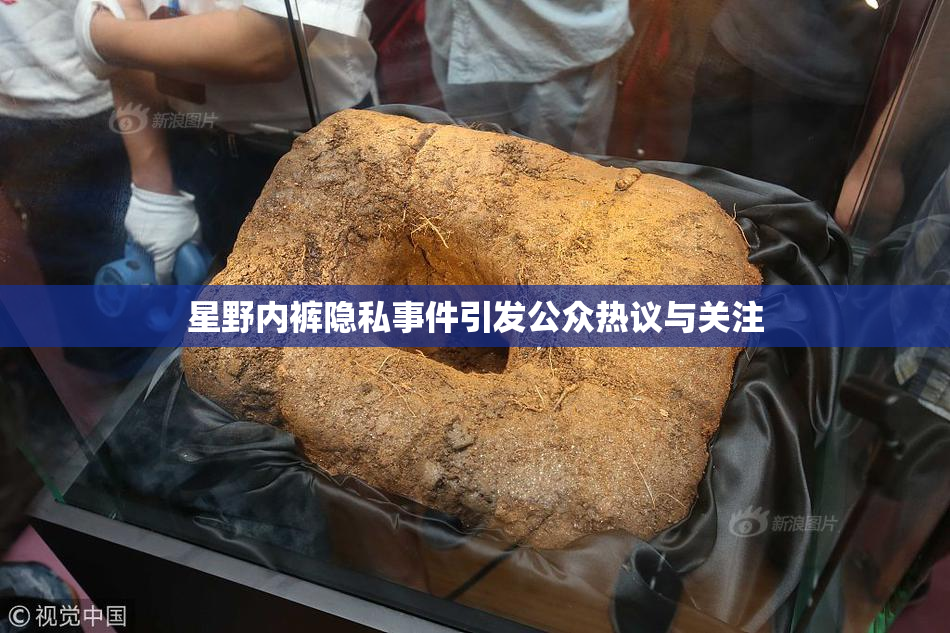 星野内裤隐私事件引发公众热议与关注