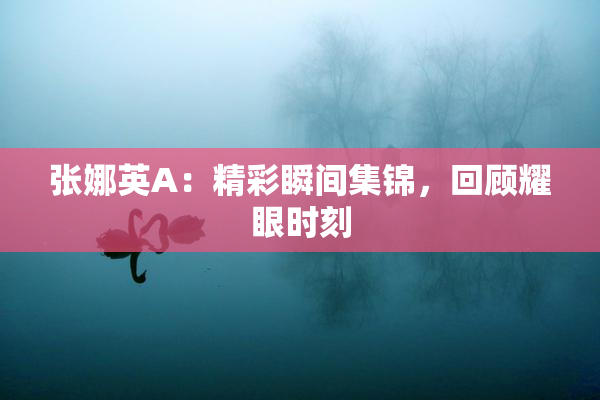 张娜英A：精彩瞬间集锦，回顾耀眼时刻