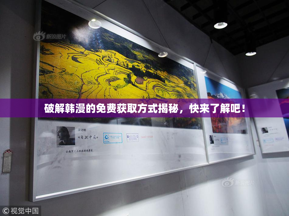 破解韩漫的免费获取方式揭秘，快来了解吧！
