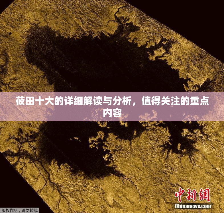 莜田十大的详细解读与分析，值得关注的重点内容