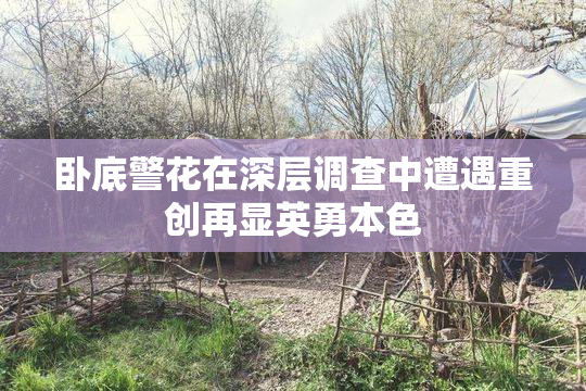 卧底警花在深层调查中遭遇重创再显英勇本色