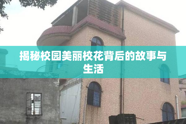 揭秘校园美丽校花背后的故事与生活