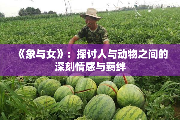 《象与女》：探讨人与动物之间的深刻情感与羁绊