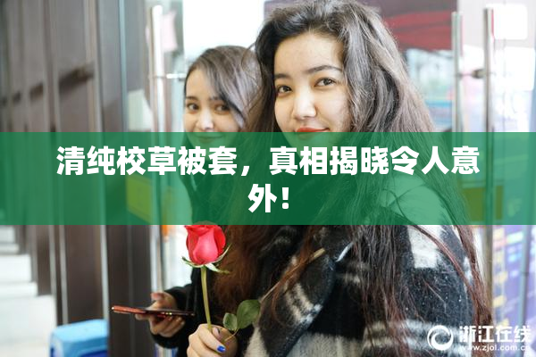 清纯校草被套，真相揭晓令人意外！