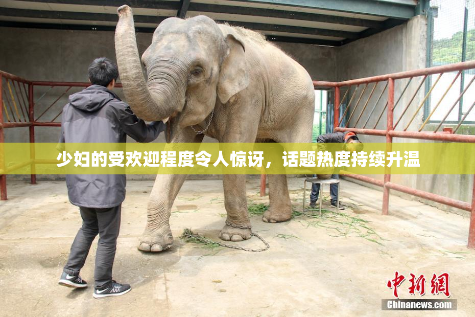 少妇的受欢迎程度令人惊讶，话题热度持续升温