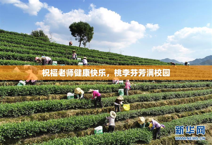 祝福老师健康快乐，桃李芬芳满校园