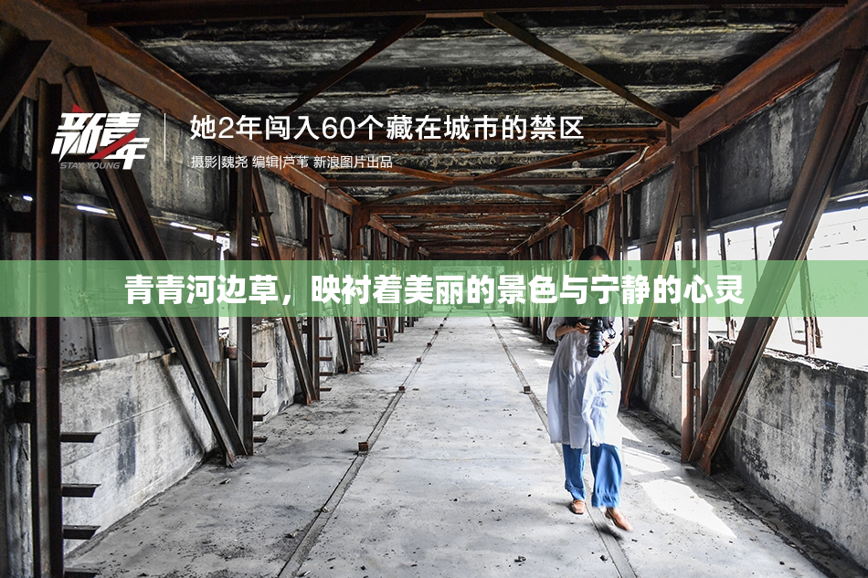 青青河边草，映衬着美丽的景色与宁静的心灵