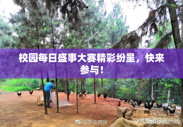 校园每日盛事大赛精彩纷呈，快来参与！