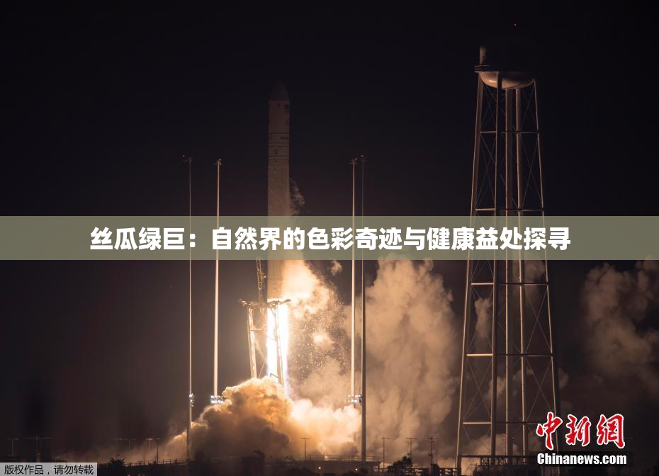 丝瓜绿巨：自然界的色彩奇迹与健康益处探寻