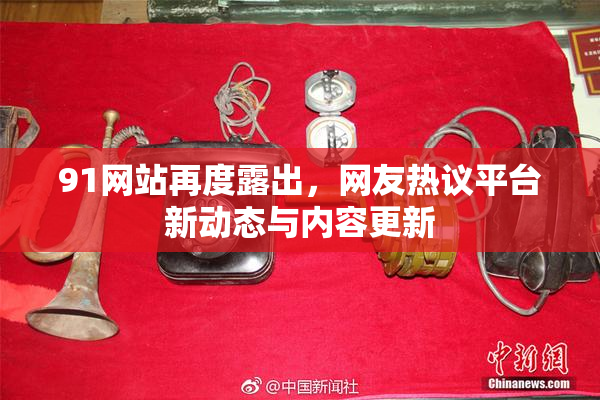 91网站再度露出，网友热议平台新动态与内容更新
