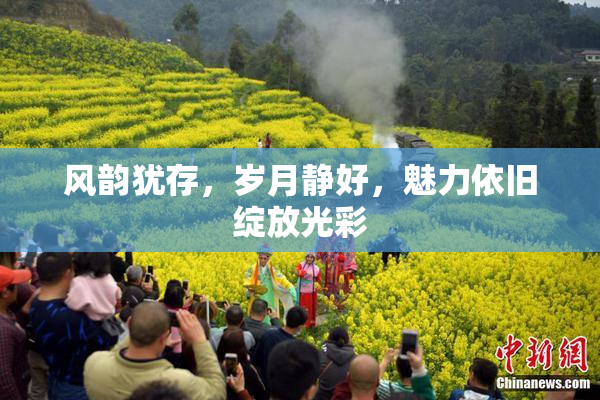 风韵犹存，岁月静好，魅力依旧绽放光彩