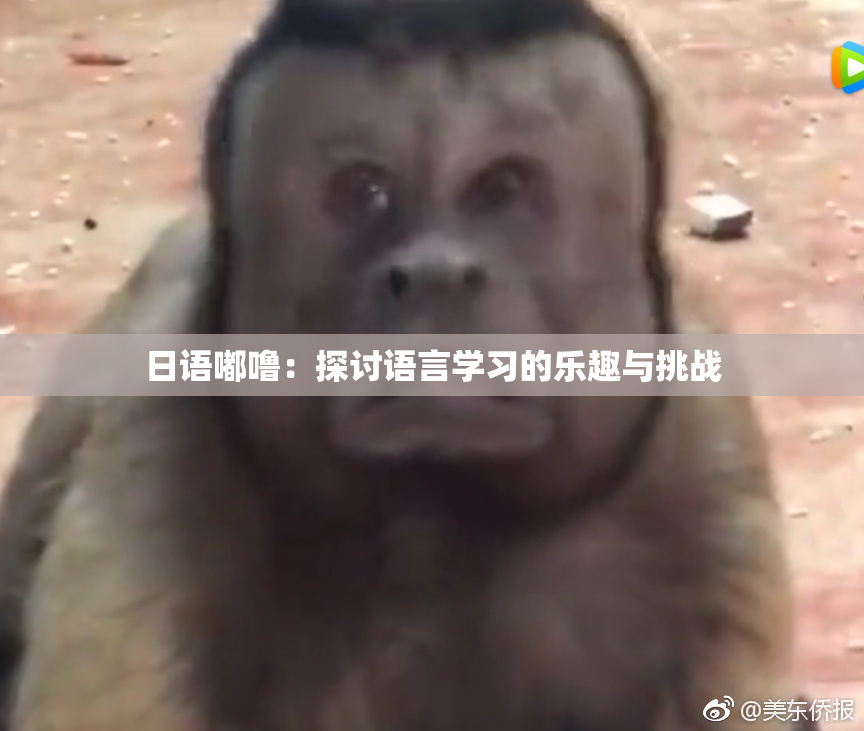 日语嘟噜：探讨语言学习的乐趣与挑战