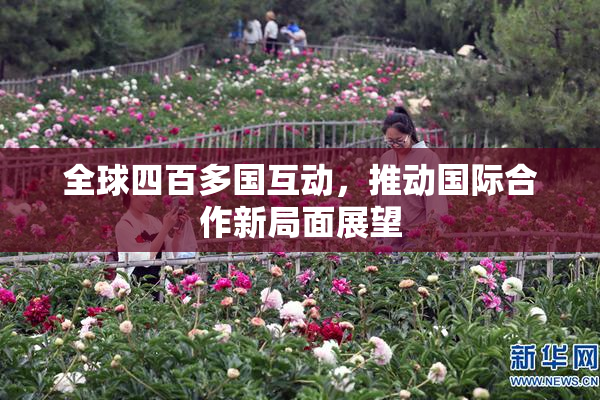 全球四百多国互动，推动国际合作新局面展望