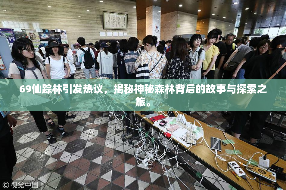 69仙踪林引发热议，揭秘神秘森林背后的故事与探索之旅。