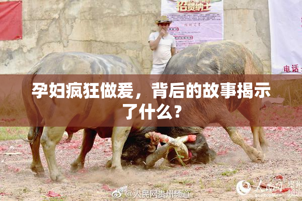 孕妇疯狂做爰，背后的故事揭示了什么？