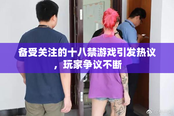 备受关注的十八禁游戏引发热议，玩家争议不断