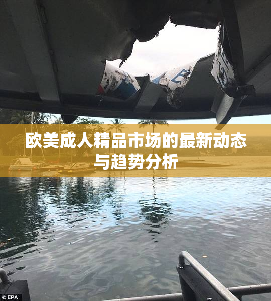 欧美成人精品市场的最新动态与趋势分析