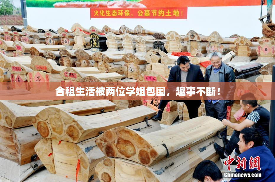合租生活被两位学姐包围，趣事不断！