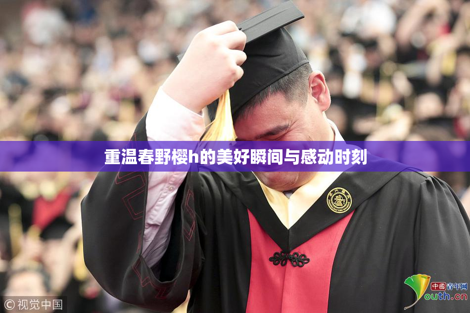 重温春野樱h的美好瞬间与感动时刻