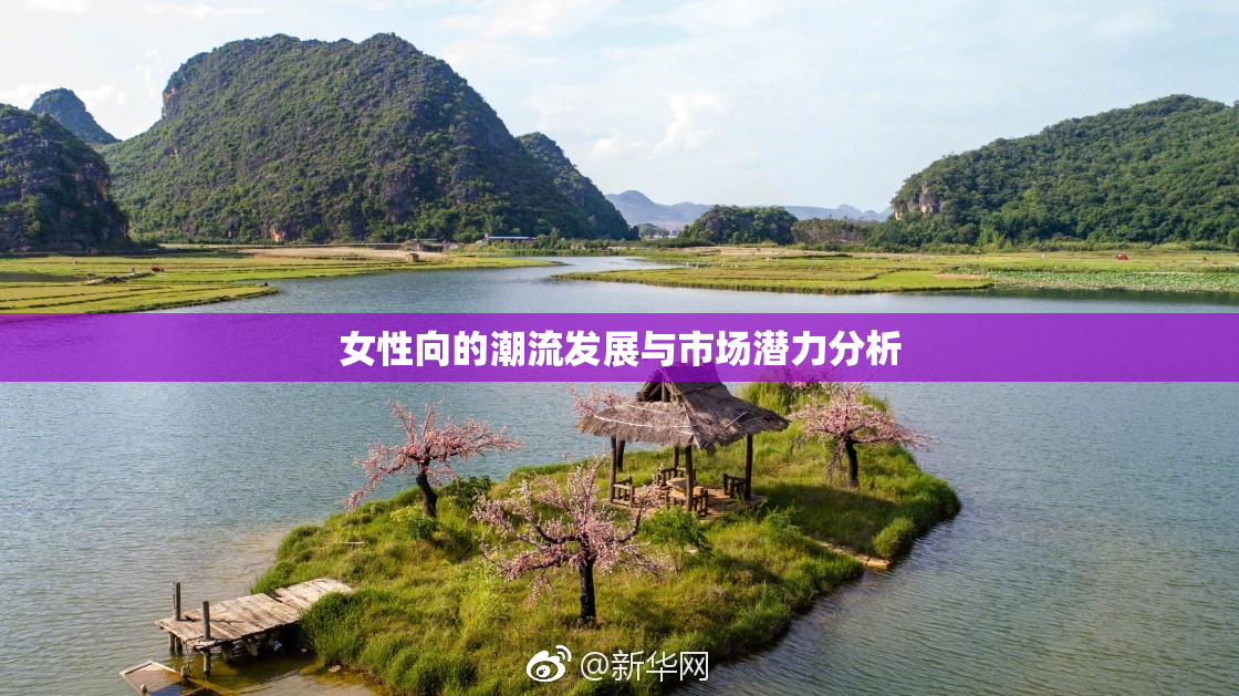 女性向的潮流发展与市场潜力分析
