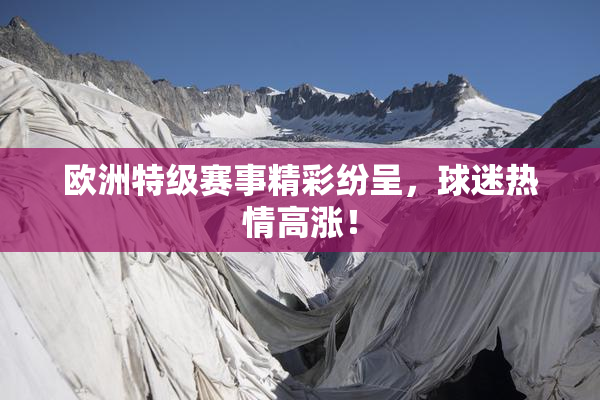 欧洲特级赛事精彩纷呈，球迷热情高涨！