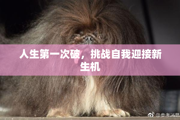 人生第一次破，挑战自我迎接新生机