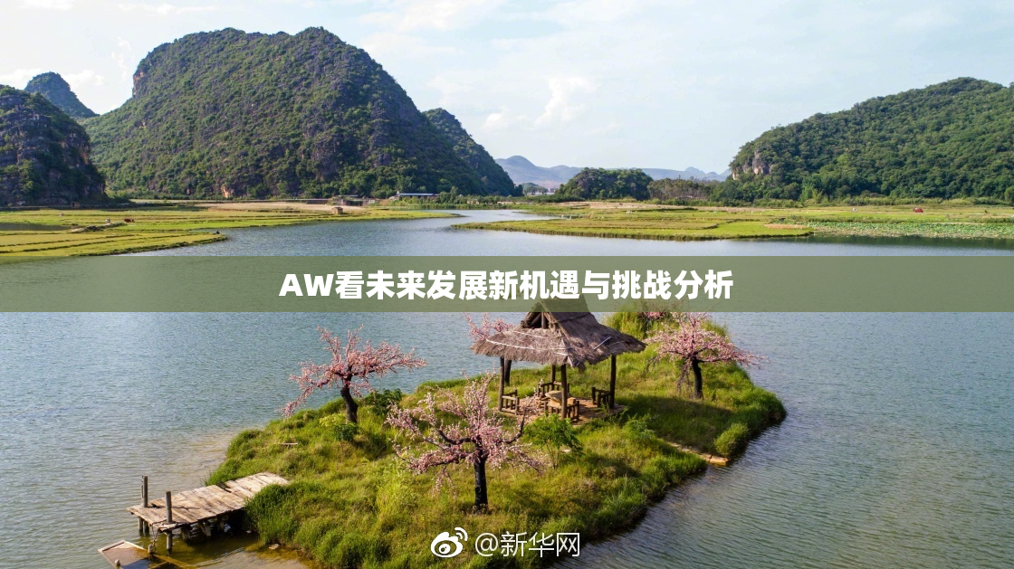 AW看未来发展新机遇与挑战分析
