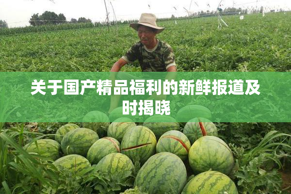 关于国产精品福利的新鲜报道及时揭晓