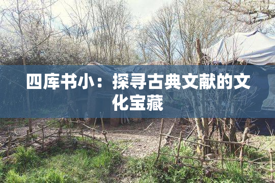 四库书小：探寻古典文献的文化宝藏