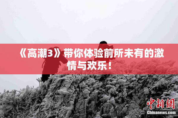 《高潮3》带你体验前所未有的激情与欢乐！