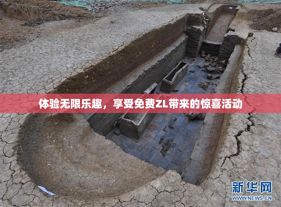 体验无限乐趣，享受免费ZL带来的惊喜活动