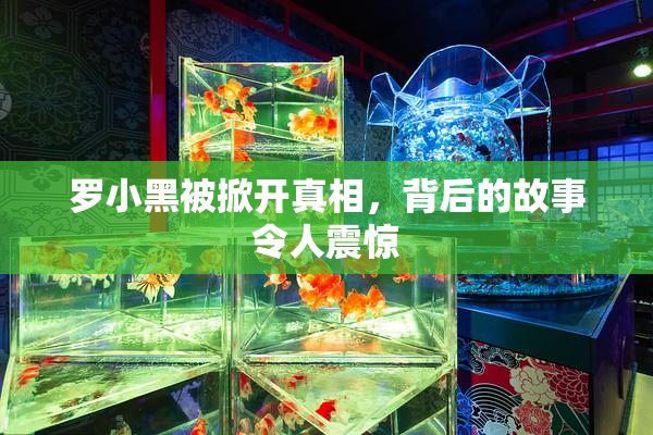罗小黑被掀开真相，背后的故事令人震惊