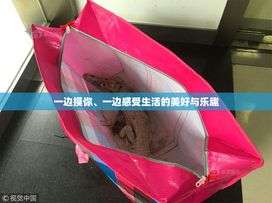 一边摸你、一边感受生活的美好与乐趣
