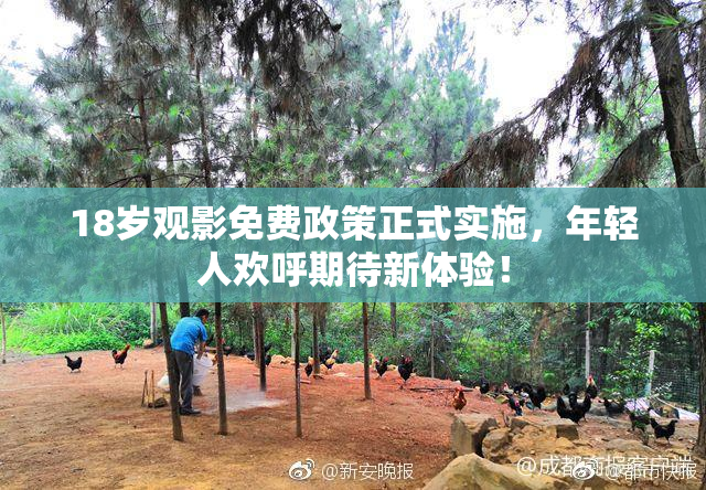 18岁观影免费政策正式实施，年轻人欢呼期待新体验！