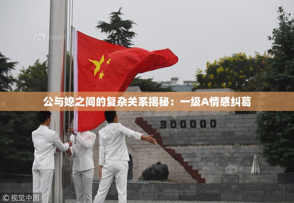 公与媳之间的复杂关系揭秘：一级A情感纠葛