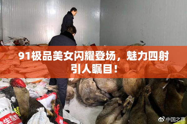 91极品美女闪耀登场，魅力四射引人瞩目！