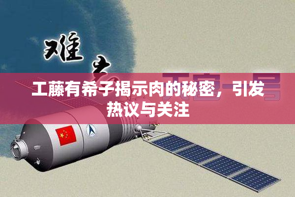 工藤有希子揭示肉的秘密，引发热议与关注